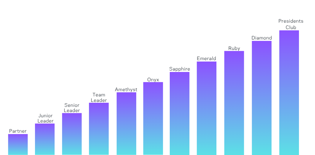 Plan de rémunération CHOGAN avec paliers de progression