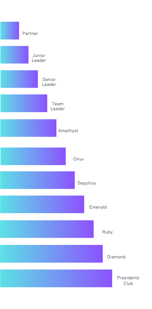Plan de rémunération CHOGAN présenté sur mobile